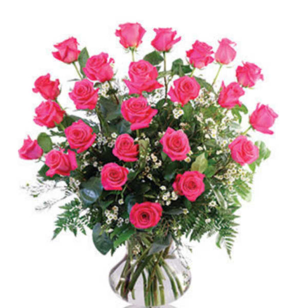 Radiant Pink Rose Elegance