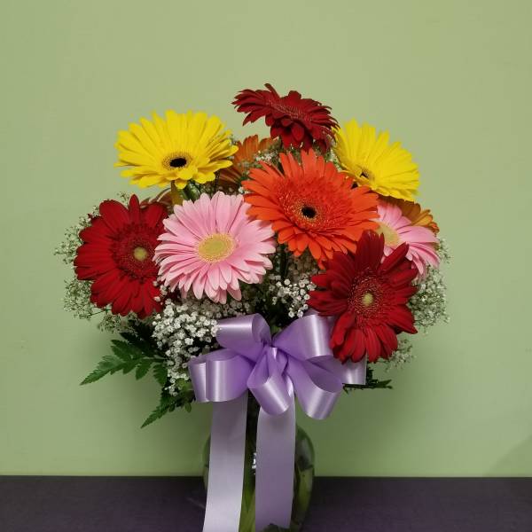 Bouquet of colorful gerbera daisies in a glass vase with a purple ribbon