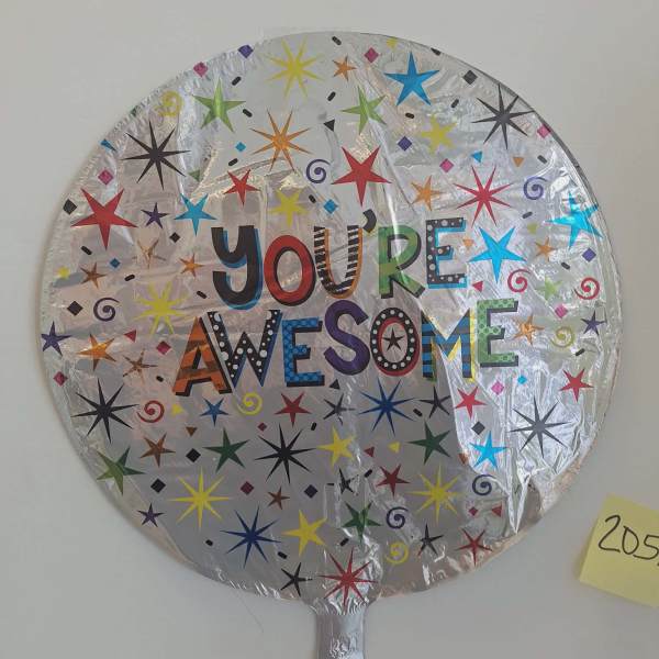 You're Awesome (205A)