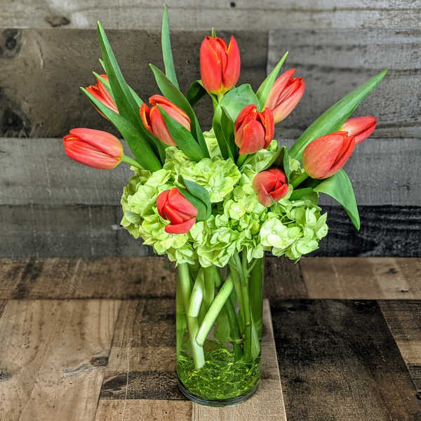 Red tulips and green hydrangeas arranged in a tall clear glass vase on a wooden surface