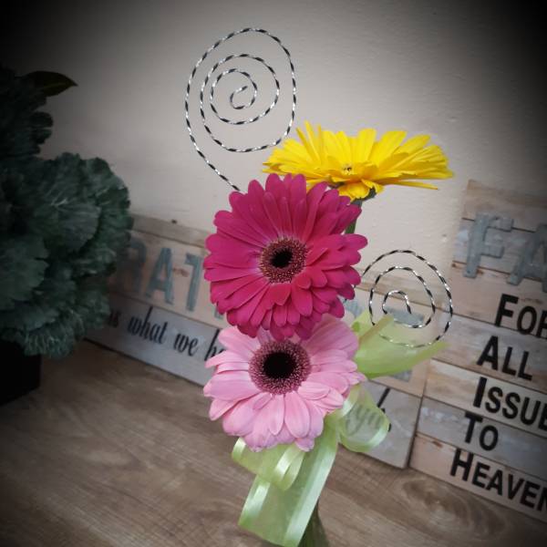 Three gerbera daisies in a small glass vase with ribbon and wire spirals