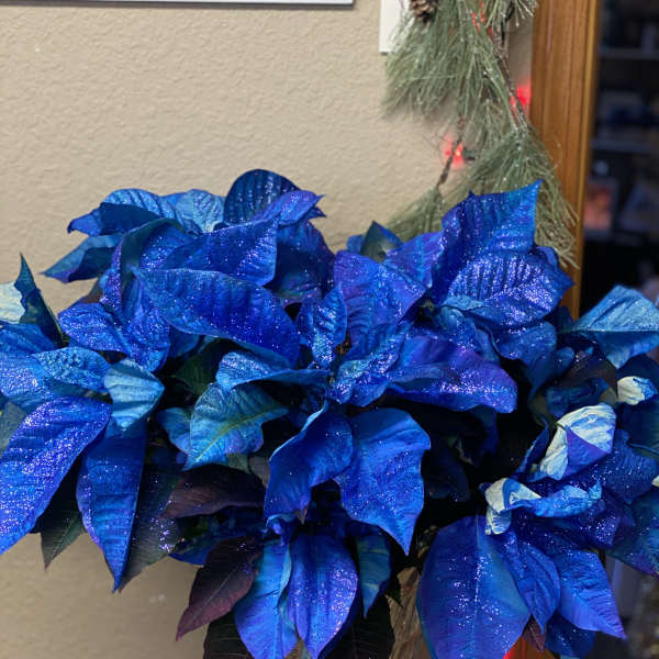 Blue glitter poinsettia arrangement in a clear vase