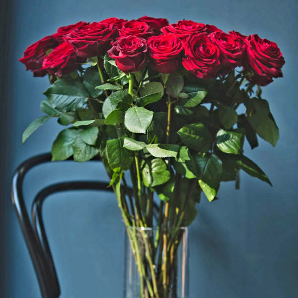 Red roses in a clear glass vase with a few roses on the table