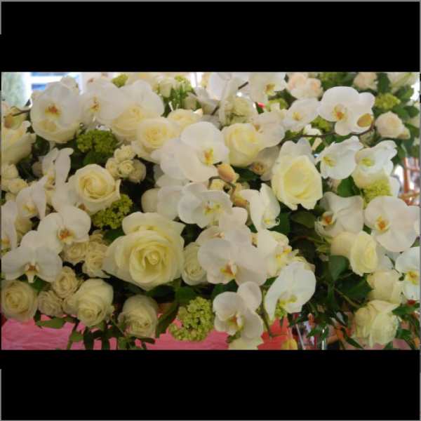 White orchids and cream roses arranged in a dense floral display