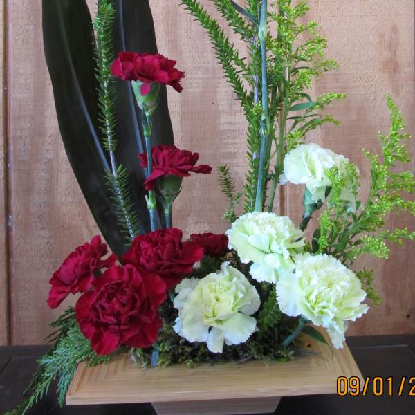 Contempary Carnations