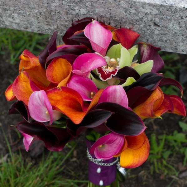 calla lilies, cyb orchids