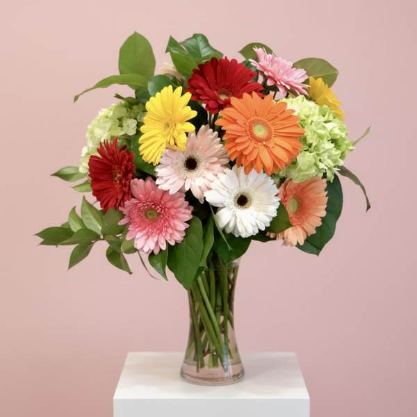 Glorious Gerberas