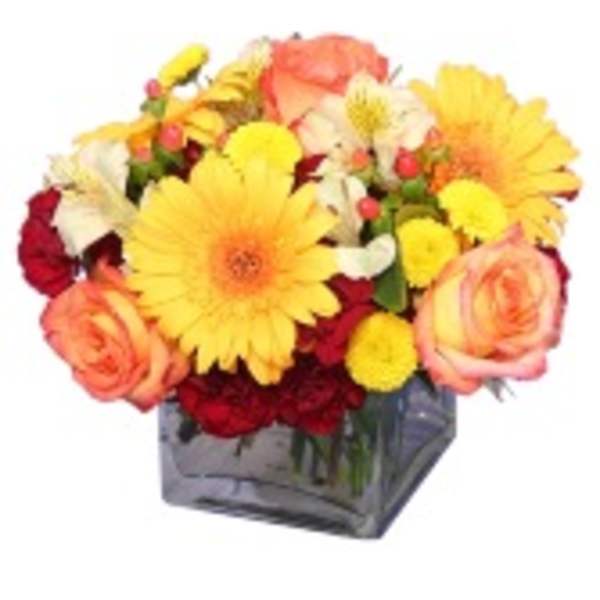Bouquet of yellow gerbera daisies and peach roses in a square vase