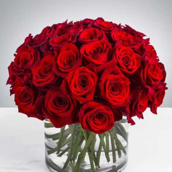 Bouquet of red roses in a clear glass vase