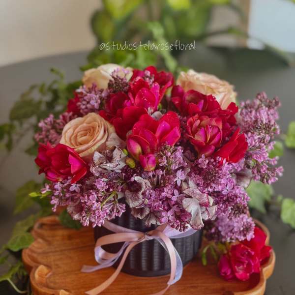 Lady Violet Bridgerton