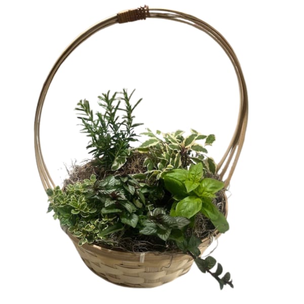 Woven handled basket filled with assorted green plants.