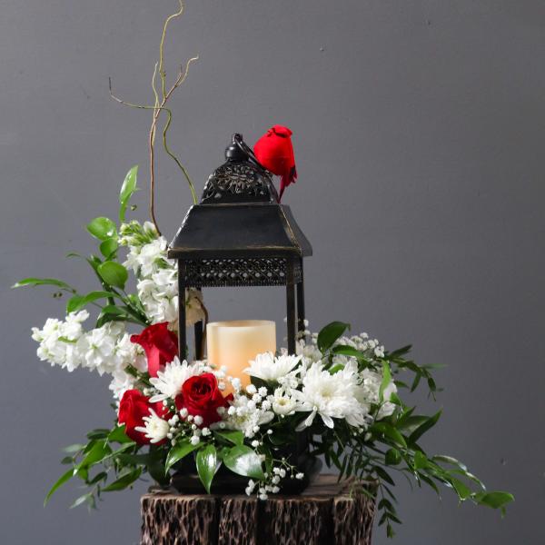 Cardinal of Light - Summer