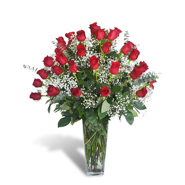 Red roses arranged in a tall clear vase with baby's breath