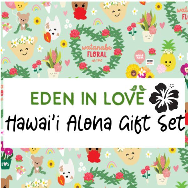 Graphic banner for an Eden in Love Hawai'i Aloha Gift Set with cute cartoon flowers and smiling characters on mint green.