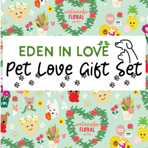 Colorful Pet Love Gift Set card with cartoon dogs, smiling flowerpots, hearts, and flowers on a mint green background