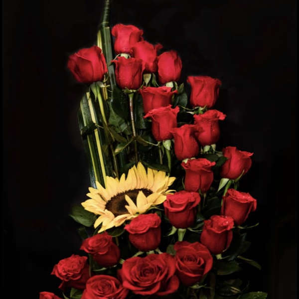 Tall bouquet of red roses with a yellow sunflower against a black background