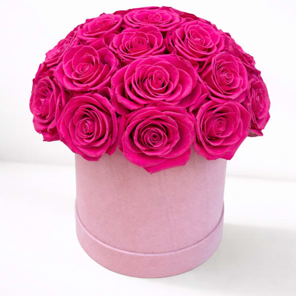 Hot pink roses arranged in a round pink box