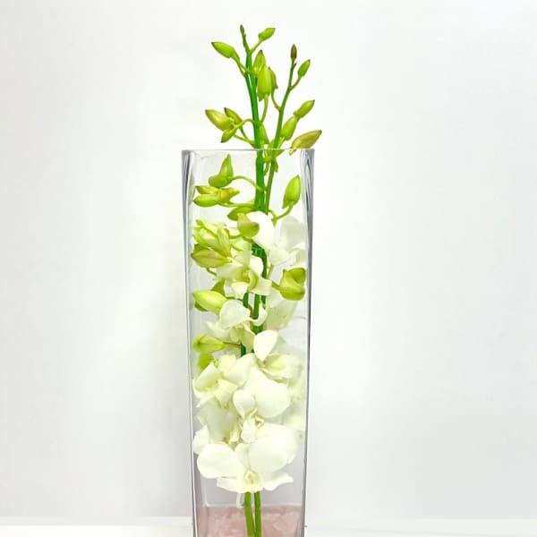 White orchid stems in a tall glass vase with pink stones and a small candle beside it