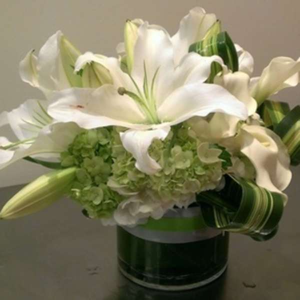 Low white lily and green hydrangea arrangement in a clear glass cylinder vase with looped striped foliage.