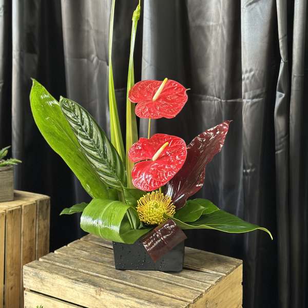 Tropical arrangement with red anthuriums and a yellow pincushion bloom in a black vase