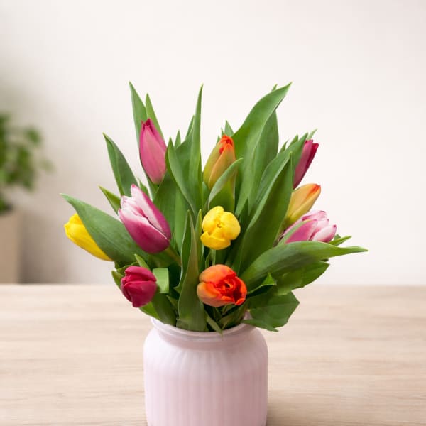 Colorful tulips arranged in a pink ceramic vase