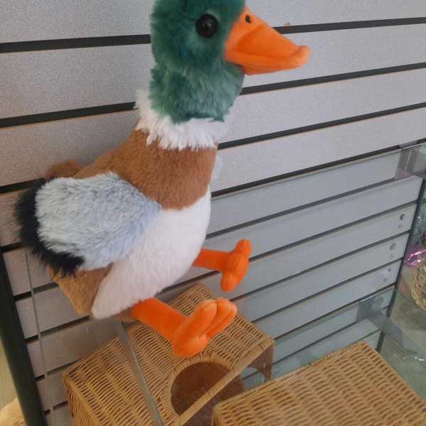 Plush duck toy with green head and orange beak sitting on a shelf.