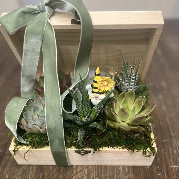 Succulent arrangement in a wooden box with a ribbon and small gnome figurine