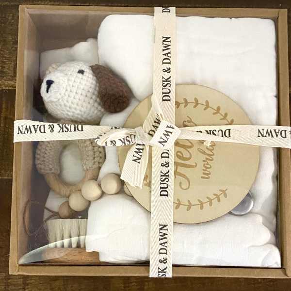 Welcome Baby Gift Set