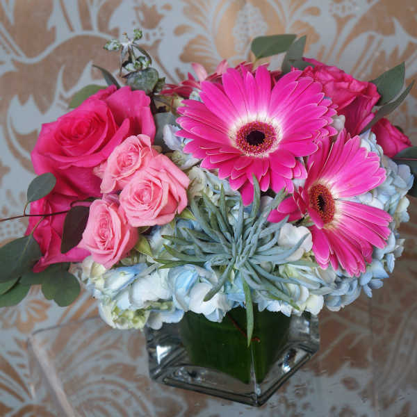 Low arrangement of bright pink gerbera daisies, roses, and hydrangeas in a square glass vase.
