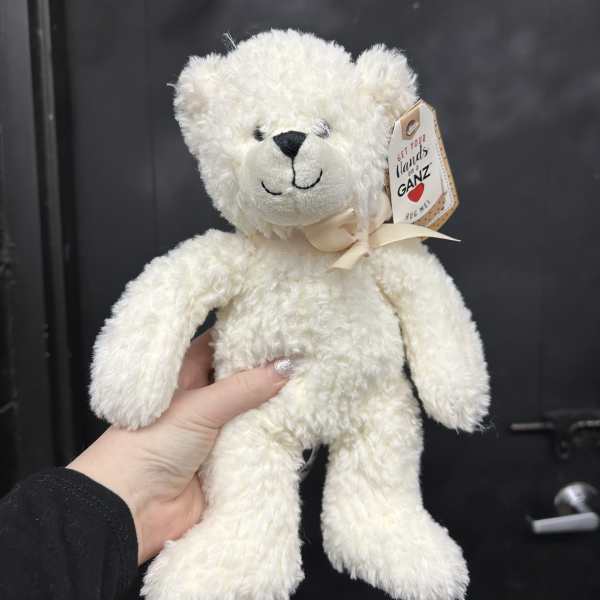 White teddy bear with a ribbon and hanging tag