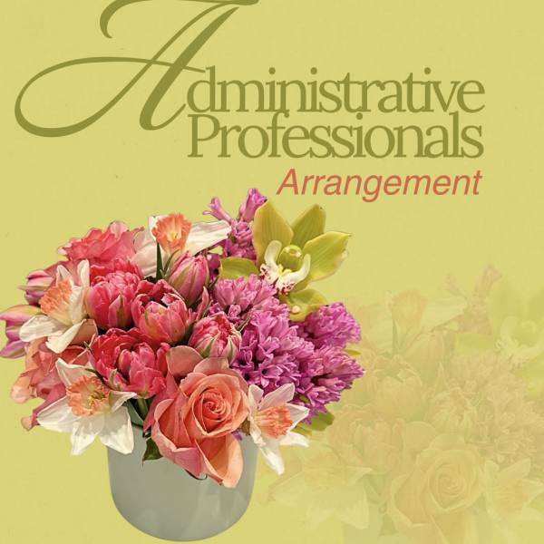 Administrative Professional