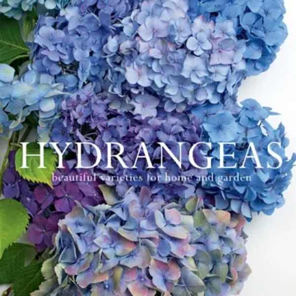 Hydrangeas: Book
