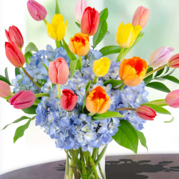 Colorful tulips arranged in a glass vase with blue hydrangeas