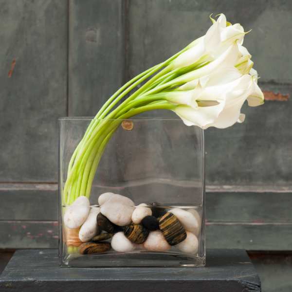 White calla lilies in a clear square vase with decorative stones