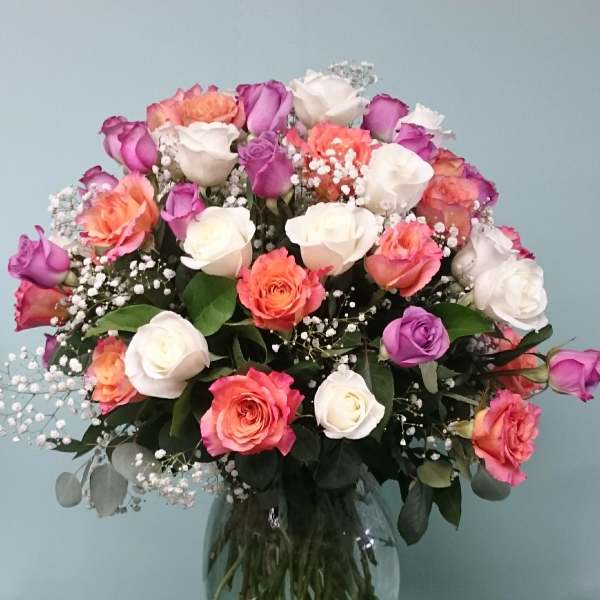 Everythings Coming Up Roses