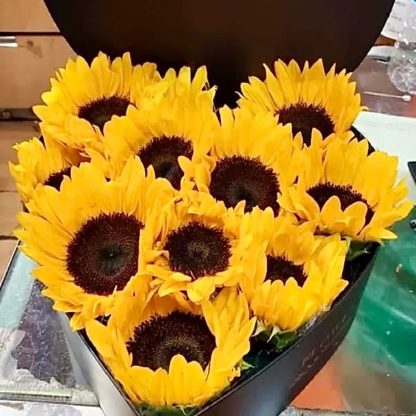 Bouquet of bright yellow sunflowers in black wrapping
