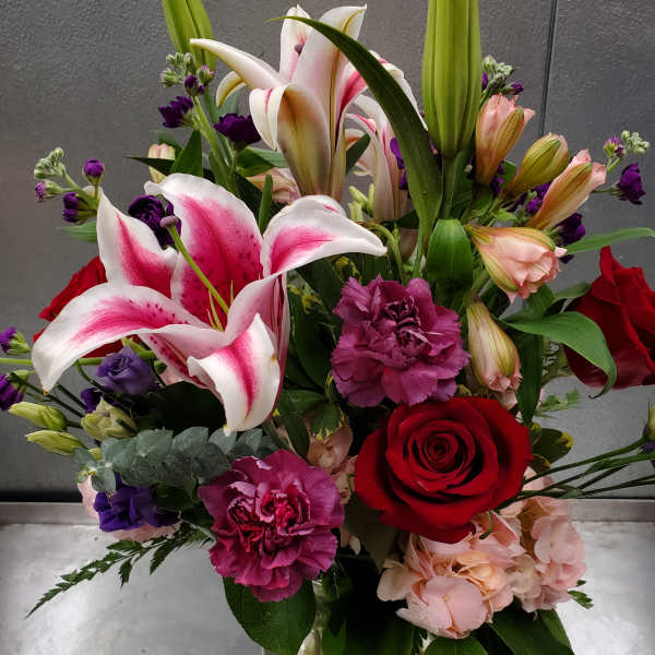 Cricket's Stunning Beauty