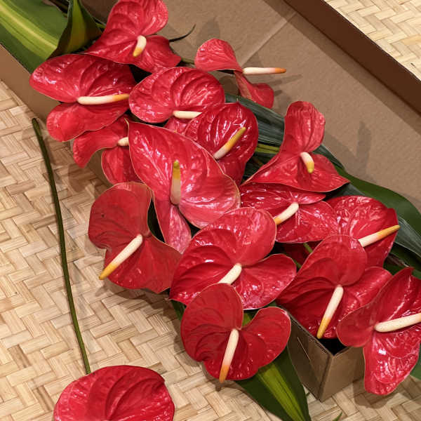 Loose red tropical flowers with pale centers packed in a shallow box on a woven mat.