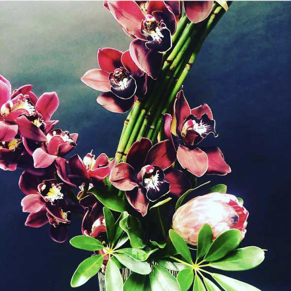 Bouquet of burgundy orchids with a pale pink protea