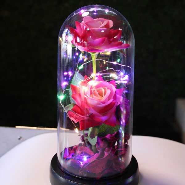 Two pink roses under a glass dome with string lights