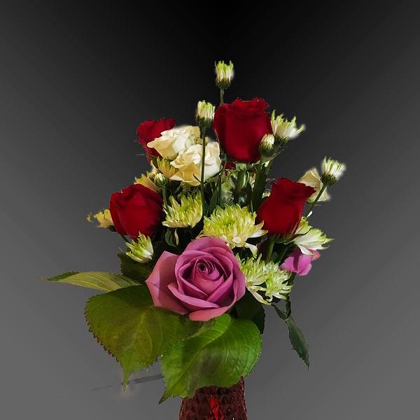 Red, pink, and white roses in a red vase