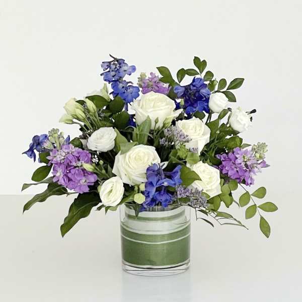 Blue Skies - Market Size