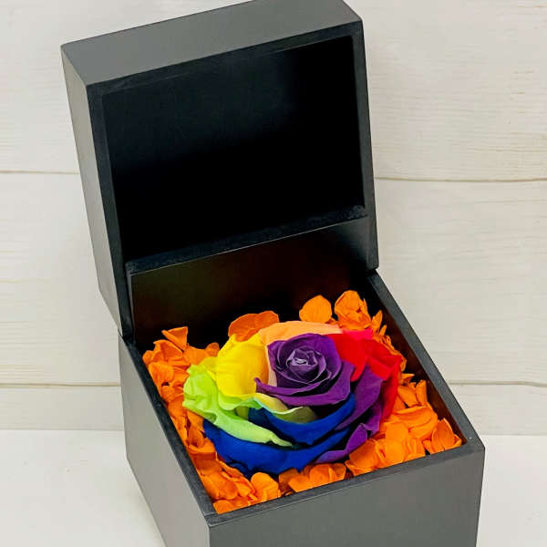 Black gift box holding a rainbow-colored rose surrounded by bright orange petals