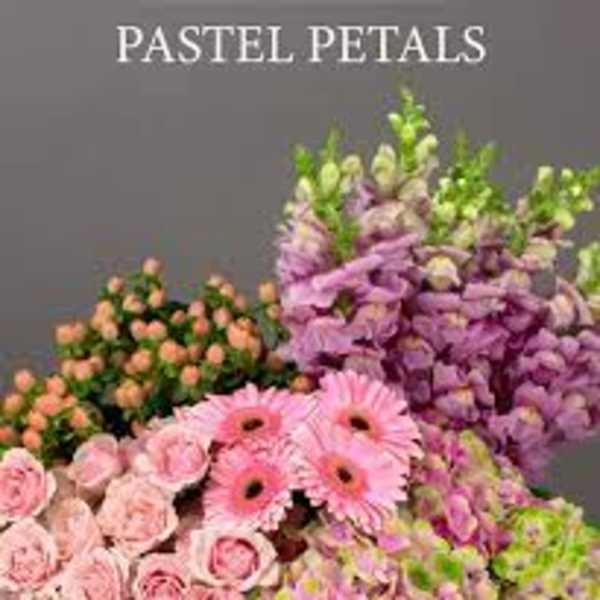 Pastel flower arrangement with pink daisies, roses, and purple blooms