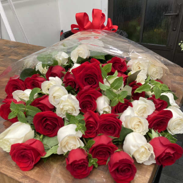 Large bouquet of red and white roses wrapped in clear plastic with a red bow