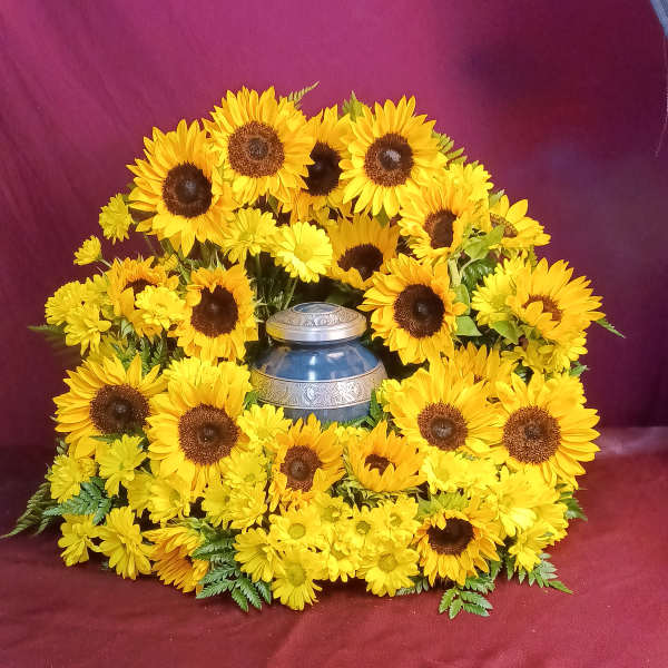 Yellow sunflowers arranged around a blue urn on burgundy fabric