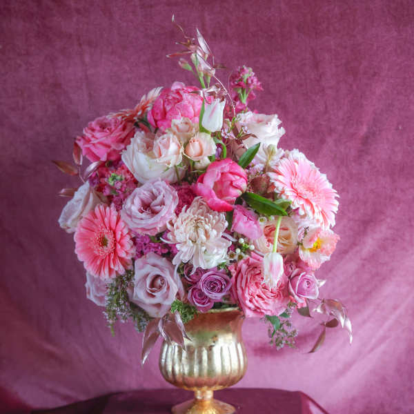 The Jane Austen Arrangement