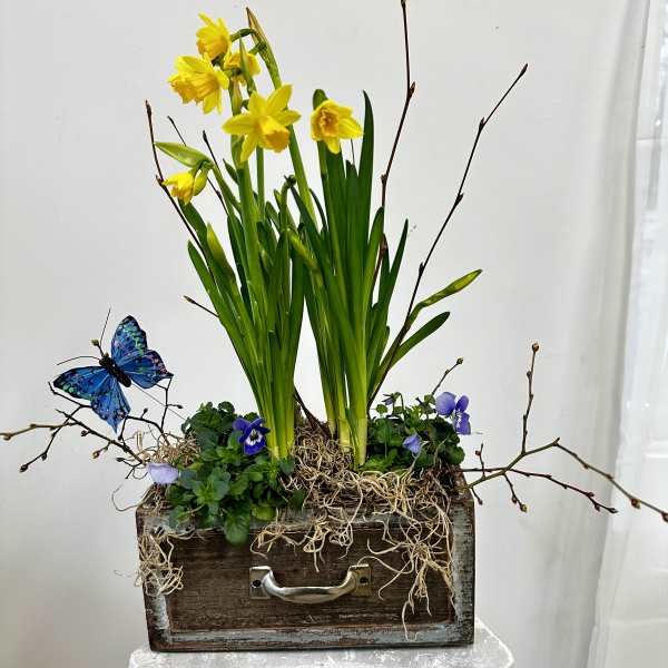 Daffodils Spring Garden with butterfly by Westford Florist Art by Veny