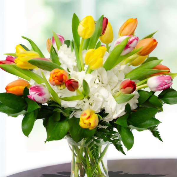 Bouquet of multicolored tulips and white hydrangeas in a clear glass vase