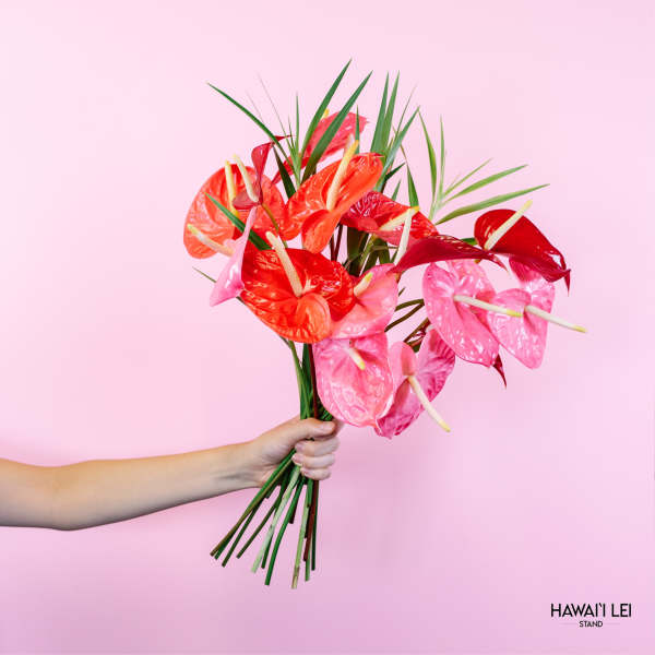 Handheld bouquet of pink and red anthuriums with long green leaves